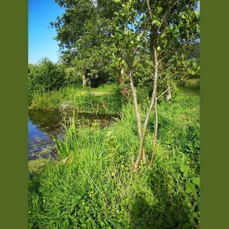 Camping 24 - Les Robinson Du - - Pêche Gratuite Sans Permis *