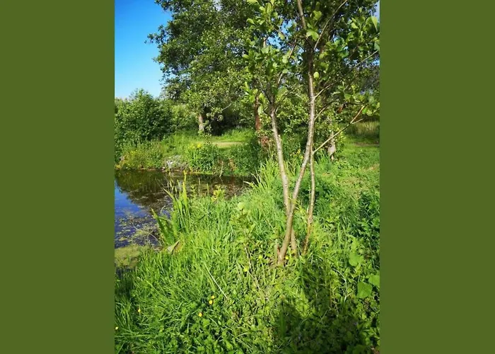 Campingplads 24 - Les Robinson Du - - Peche Gratuite Sans Permis *